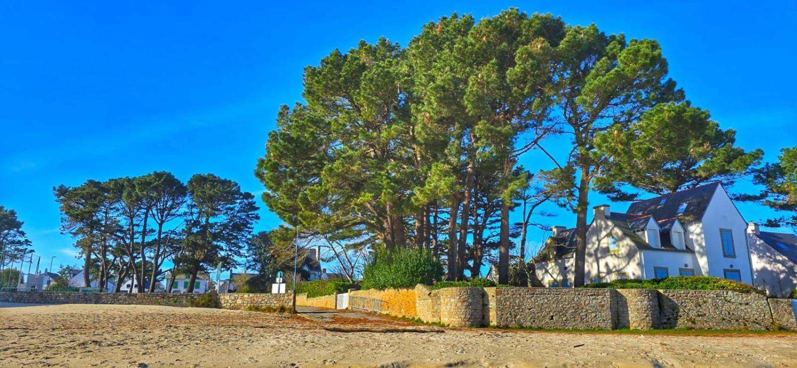 Cocon Neuf - 6 A 8 Pers 3 Chb Proche Plage, Port, Centre Ville Сен-Пьер-Киберон Экстерьер фото